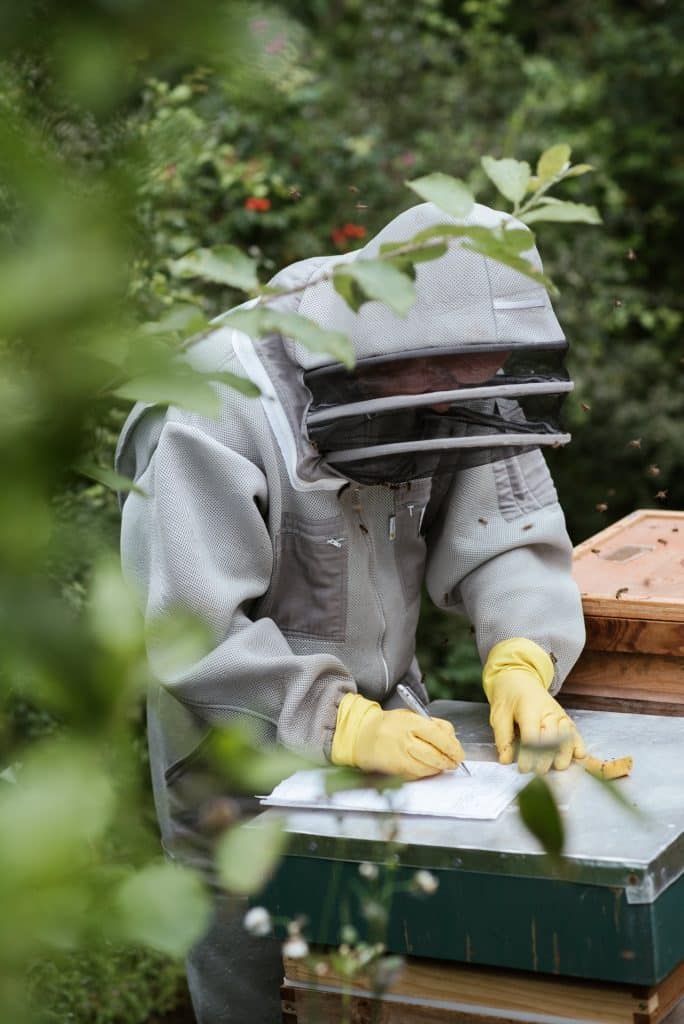 A beekeeper in a white suit next to a hive writing in a journal