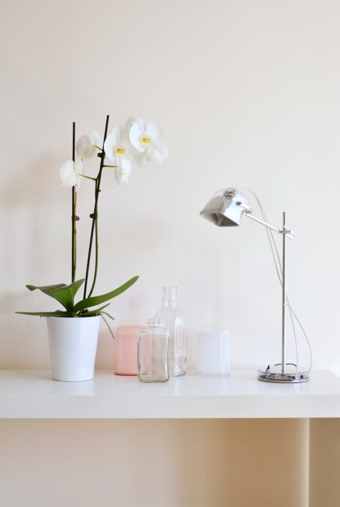 A white orchid in a pot on a deck next to a lamp